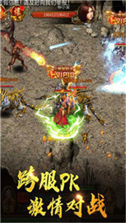 逆天无赦单职业