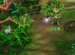 花鸟鱼虫 伴你左右 传奇手