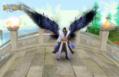 传奇手机版特色羽翼，颜