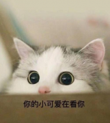 大家都是怎么表白的呢?