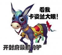 我有一只小毛驴最新开传