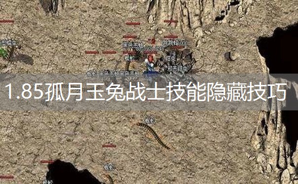 1.85孤月玉兔战士技能隐藏技巧