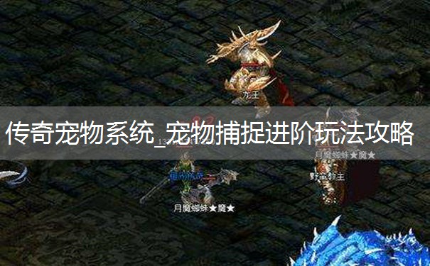 传奇宠物系统_宠物捕捉进阶玩法攻略