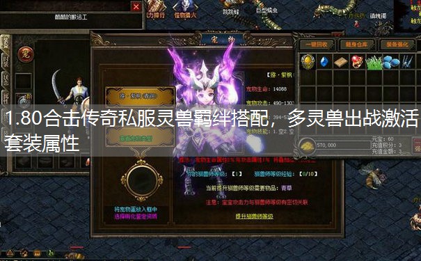 1.80合击传奇私服灵兽羁绊搭配，多灵兽出战激活套装属性