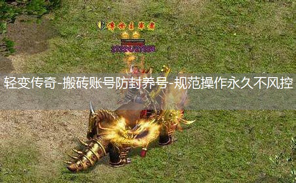 轻变传奇-搬砖账号防封养号-规范操作永久不风控 轻变传奇-搬砖账号防封养号-规范操作永久不风控