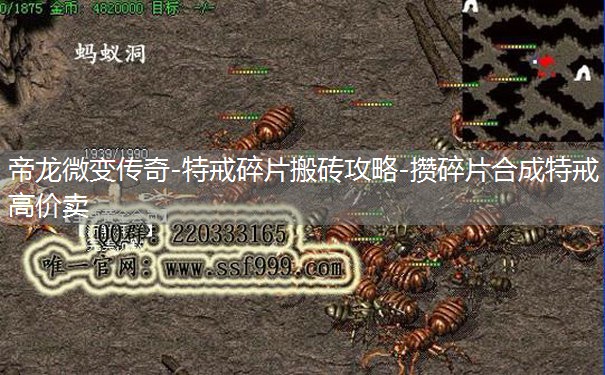 帝龙微变传奇-特戒碎片搬砖攻略-攒碎片合成特戒高价卖 帝龙微变传奇-特戒碎片搬砖攻略-攒碎片合成特戒高价卖